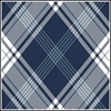 Picture of Navy Tartan